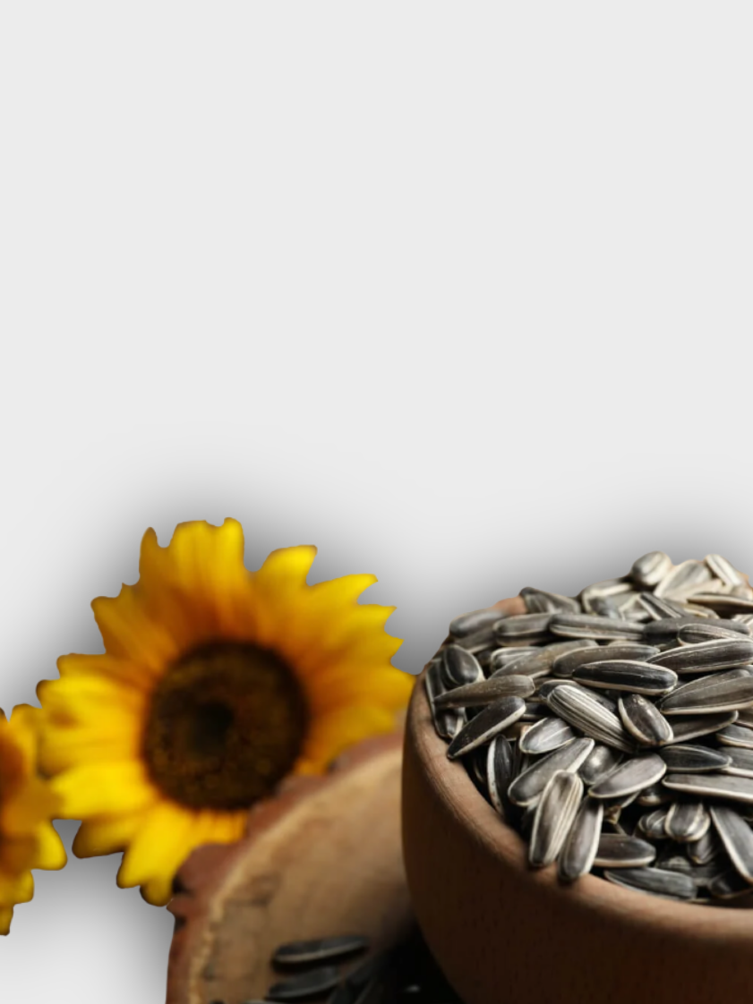 Sunflower Seeds (Salted)